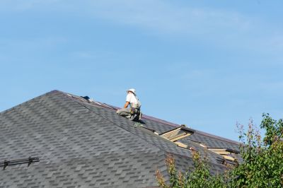 Expert Roof Assessment