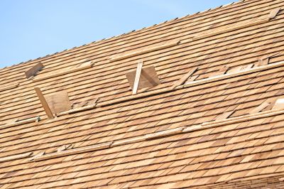 Roof Repair Consultation